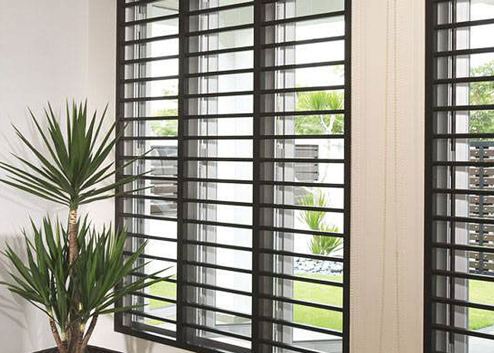 MS Window